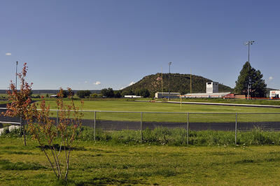 Field