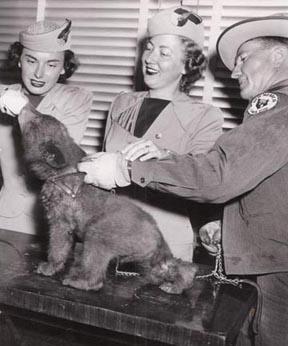 Smokey Bear