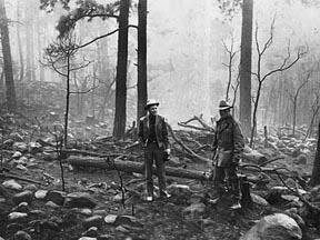 Smokey Bear