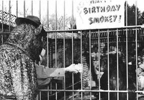 Smokey Bear